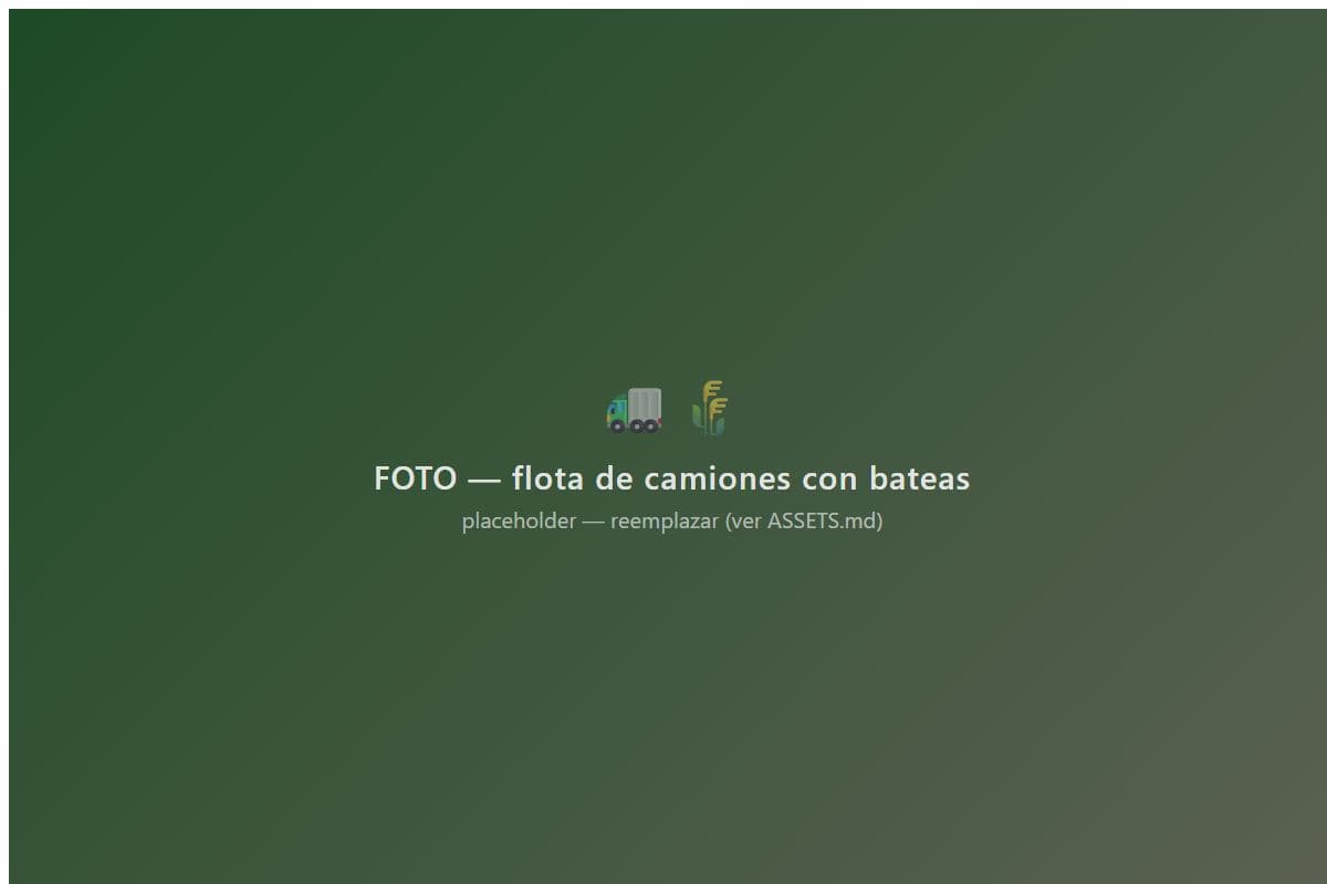 Flota de camiones con bateas cerealeras