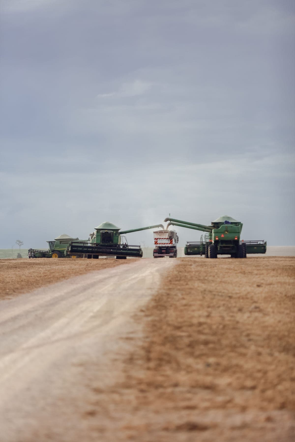 Extractora de silobolsa trabajando en el lote